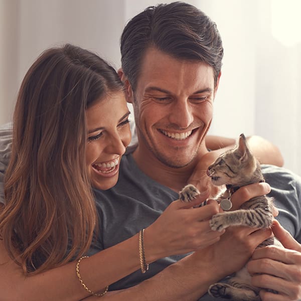 Husband And Wife Holding Kitten Playing
