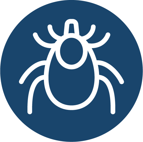 tick icon in blue circle