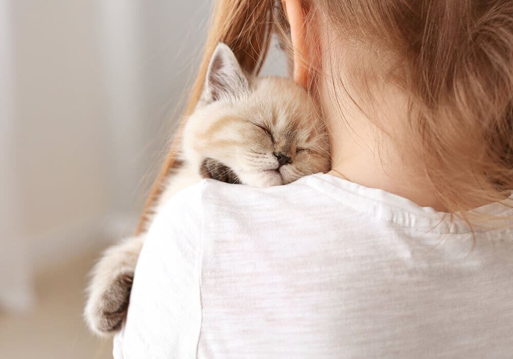 small child in white shirt holding tiny tan kitten