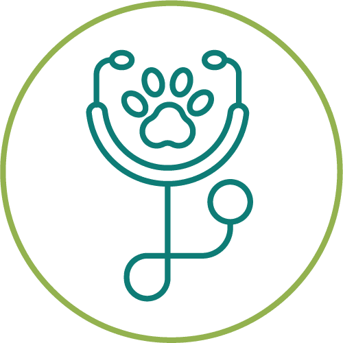 dark green drawing of a stethoscope inside of a light green circle