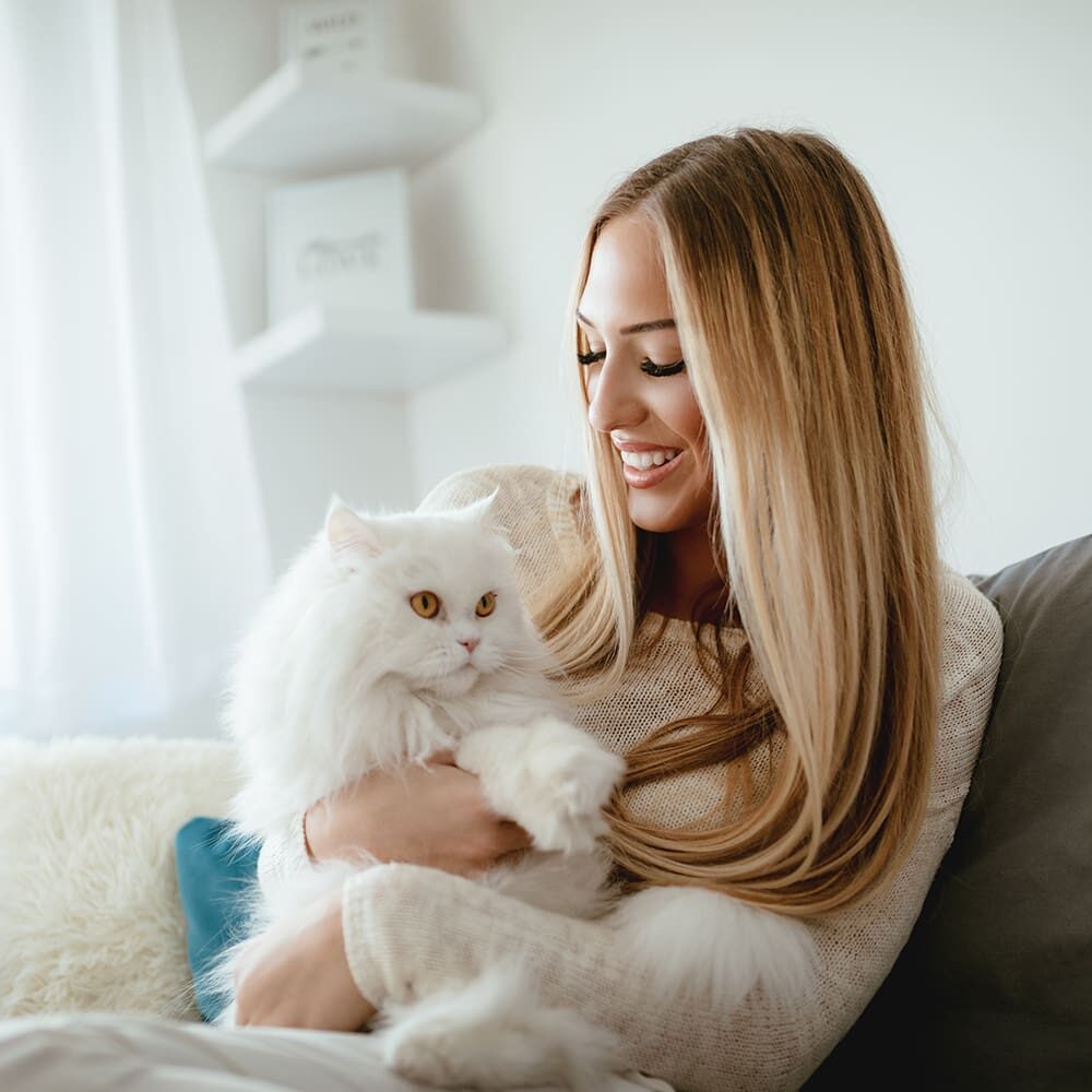 Woman Holding White Cat In Lap On Couch
